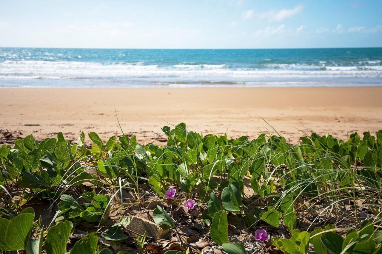 矶鹬汽车旅馆 Grasstree Beach 外观 照片